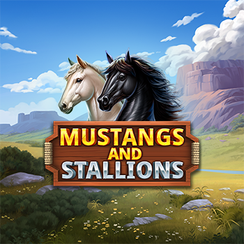 Mustang and Stallions